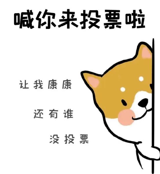 人工刷投票网人工投票怎么收费？